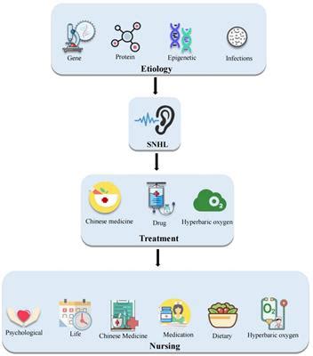 Frontiers Research Progress On The Treatment And Nursing Of