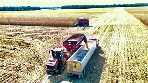 Case Ih 9250 Combine Picks A 690 Acre Field Of Corn With A 12 Row