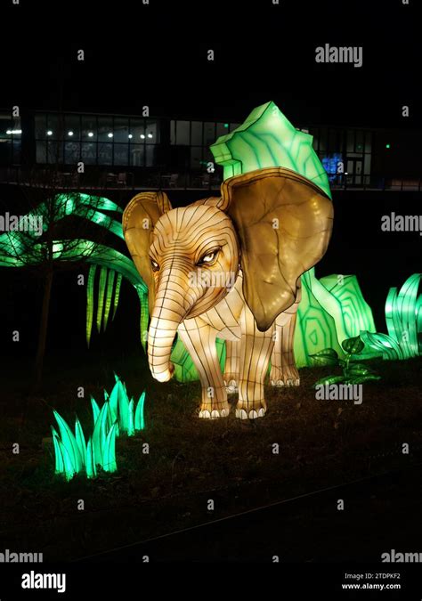 Kansas City, Missouri - December 14, 2023: Glowild Christmas Lights at the Kansas City Zoo Stock ...