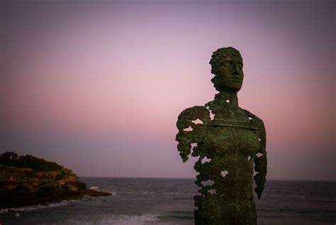 Bondi beach sculptures a sight to behold | The Citizen