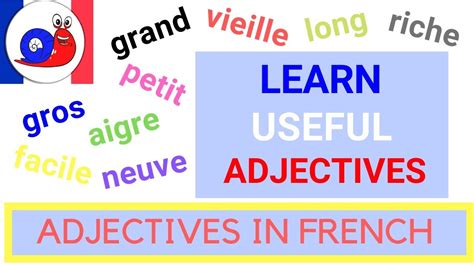 Learn Most Common Adjectives In French Example Sentences In This Video Common Adjectives