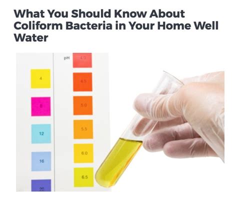 Total Coliform Bacteria In Well Water Treatment – Parasite Martlab Pro