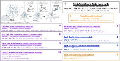 4DN FISH Omics Format Chromatin Tracing FOF CT FISH Omics Format