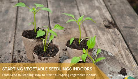 How To Master Starting Vegetable Seedlings Indoors In 2025