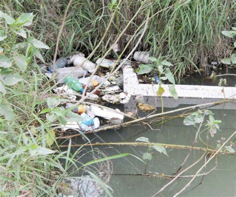 Grave foco de contaminación a espaldas de centro de estudios La Tarde