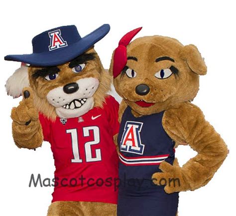 University of Arizona Mascot – CollegeLearners.com