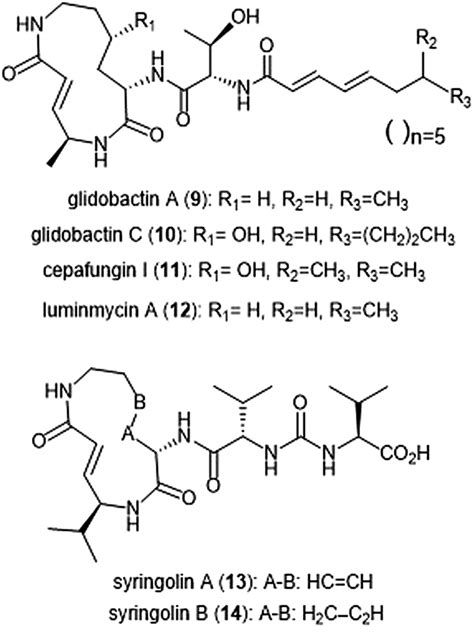 Natural Product Scaffolds As Inspiration For The Design And Synthesis