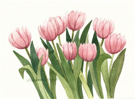 Pink Tulip Bunch Original Watercolor Painted By Wanda Zuchowski Schick