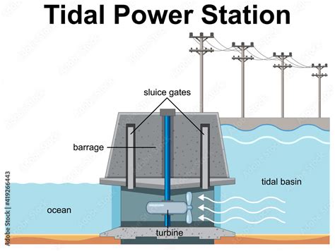 Diagram Showing Tidal Power Station Stock Vector Adobe Stock