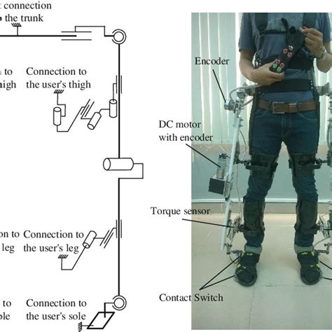 PDF Control Of A Self Adjusting Lower Limb Exoskeleton For Knee