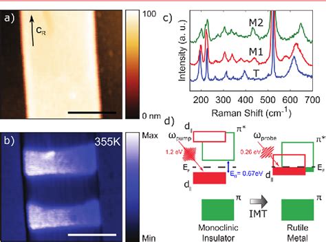 Figure 2 From Ultrafast Nanoimaging Of The Photoinduced Phase