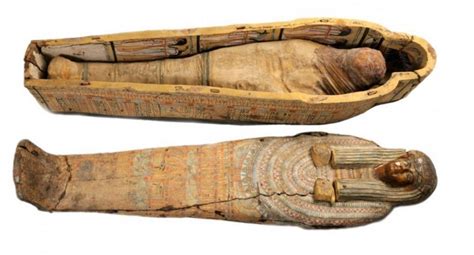 Egyptian Mummy Dna Study Results Revealed Nexus Newsfeed