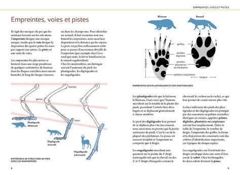 Guides De R F Rence Pour Identifier Les Traces D Animaux Facilement