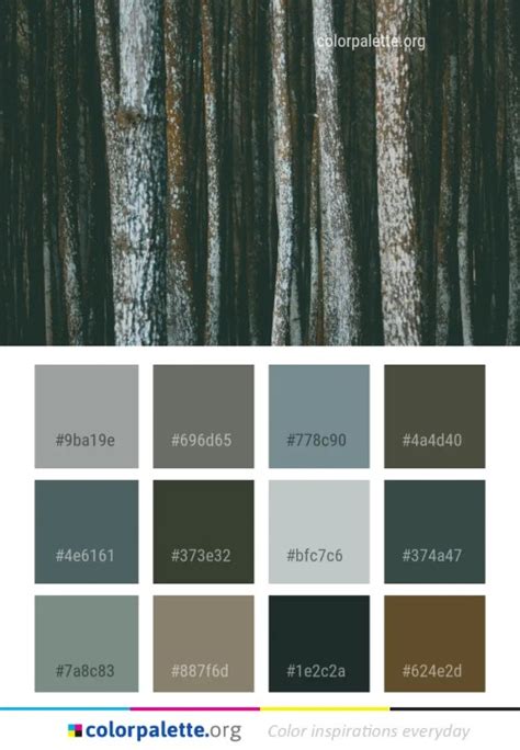 Plant Tree Color Palette | colorpalette.org