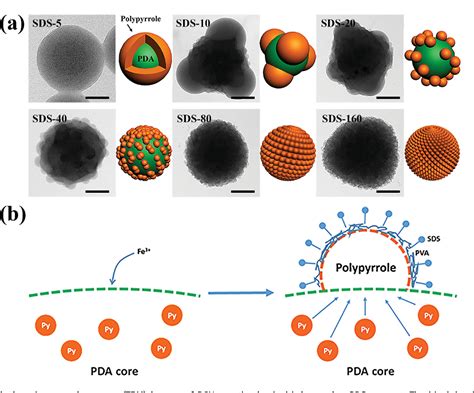 Figure From Polypyrrole Composite Nanoparticles With Morphology