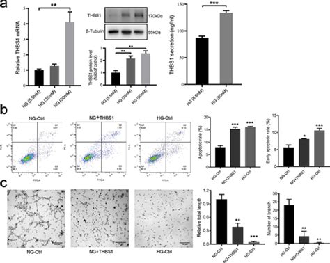 Full Article MicroRNA 221 3p Targets THBS1 To Promote Wound Healing In