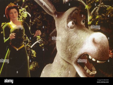 donkey shrek  res stock photography  images alamy
