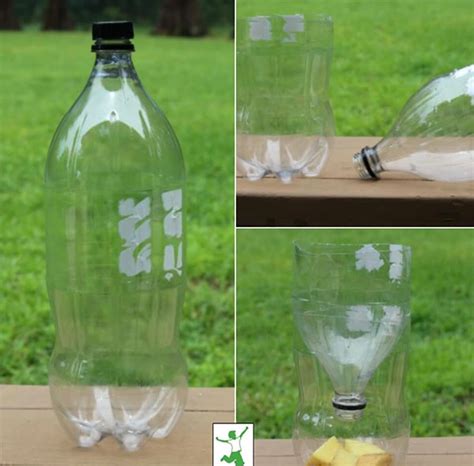 8 Clever And Creative DIY Outdoor Fly Traps With Pictures House Grail