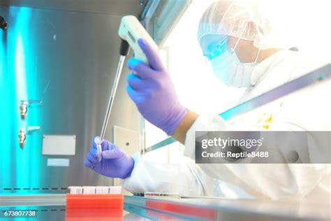 144 Aseptic Processing Stock Photos, High-Res Pictures, and Images ... 
