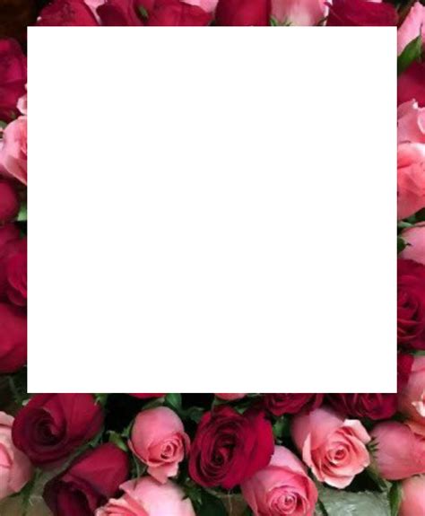 Рамка рамка розы PNG - AVATAN PLUS