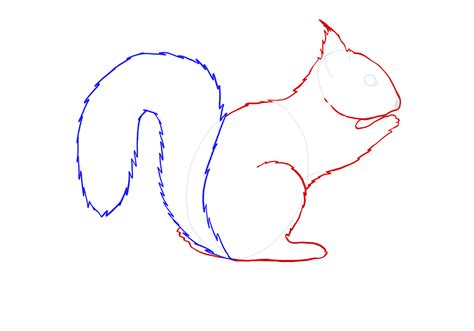 How to Draw a Squirrel | Design School