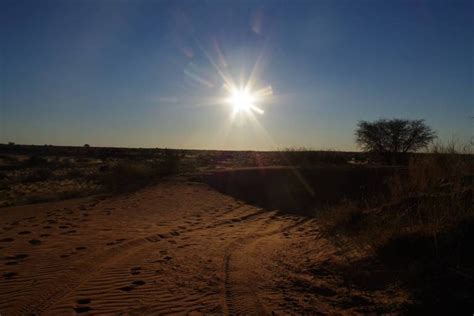 Namibia Desert Safari - Africa Joy Tours