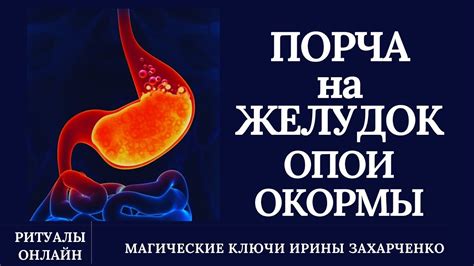 ЖЕЛУДОК. ПОРЧА на желудок. ОПОИ, ОКОРМЫ. Восстановление флоры ...