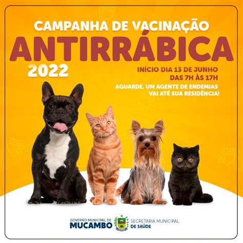 Campanha De Vacina O Antirr Bica Prefeitura De Mucambo