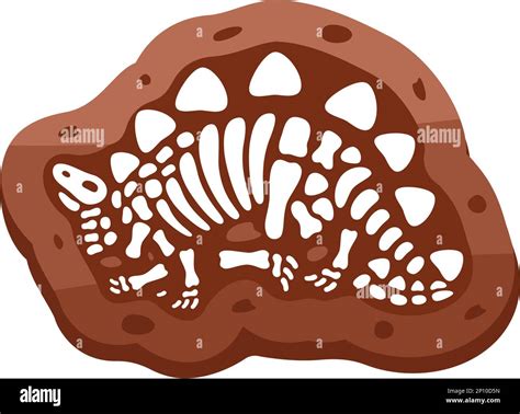 Skeleton Of The Stegosaurus Im Genes Recortadas De Stock Alamy