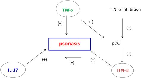 Paradoxical Reactions Under Tnf α Blocking Agents And Other Biological Agents Given For Chronic