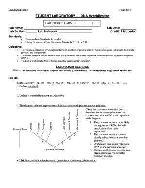 Fillable Online DNA Hybridization Fax Email Print PdfFiller