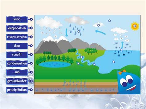 The water cycle - Labelled diagram