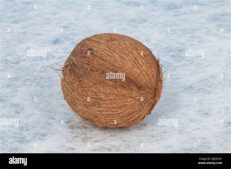 Coconut tropical fruit (Cocos nucifera Stock Photo - Alamy