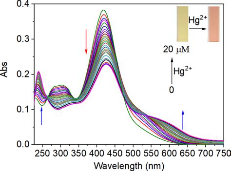 Ultraviolet Visible Spectra Of Probe 1 10 µm Varied With Hg²