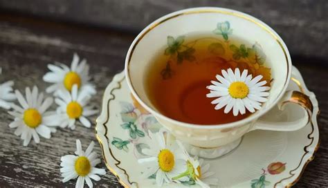 5 Healthy Herbal Teas You Must Try