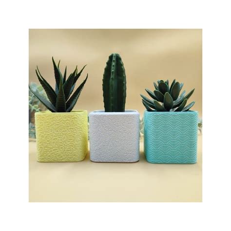 Kit Vasos Texturizados Cactos Suculentas Decorativo Para Plantas