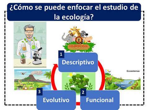 Guía Completa De Ecología Definición Y Ejemplos Eco Signal