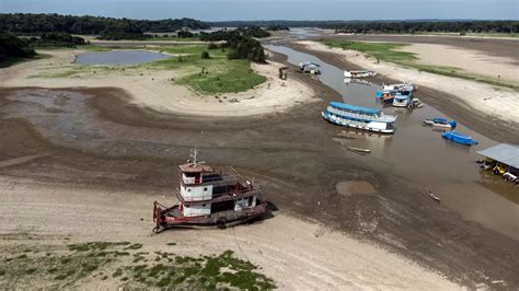 Seca Barcos Encalhados E Peixes Mortos Na Amaz Nia Mat Ria Prima