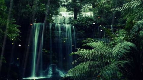 Animated Forest Wallpapers - Wallpaper Cave