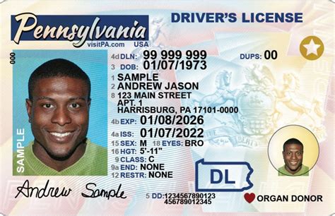 Scannable Id Card Charges Buy Scannable Fake ID Online Fake Drivers