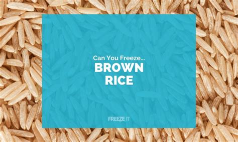 Can You Freeze Brown Rice 4 Must Read Tips Freeze It