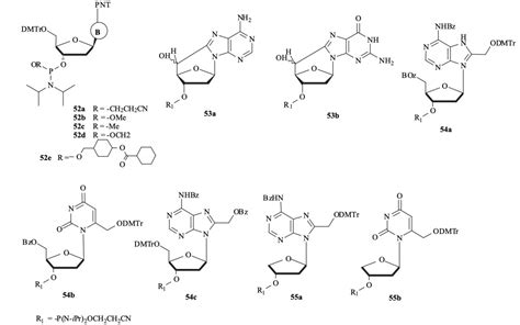 Rna Phosphoramidites Boc Sciences