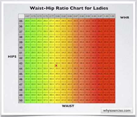 Waist Measurement Chart For Health