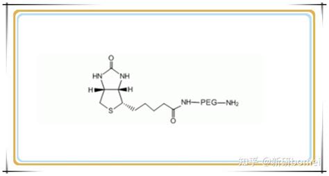 Biotin Peg Nh2biotin Peg Amine生物素 Peg 氨基用于材料改性 知乎