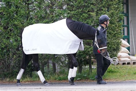 【天皇賞・春】ディープボンド GⅠ初勝利へ試練の大外 枠⑱番｜競馬ニュース｜競馬予想のウマニティ