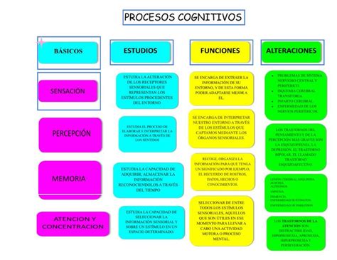 Procesos Cognitivos Basicos Theme Route