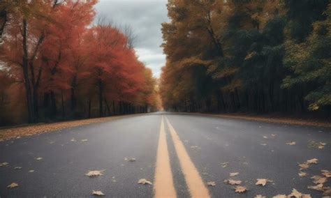 Autumn Road Stock Photos, Images and Backgrounds for Free Download