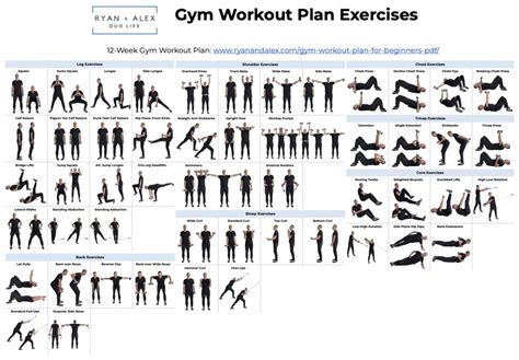 12-Week Gym Workout Program for Beginners PDF with Pictures