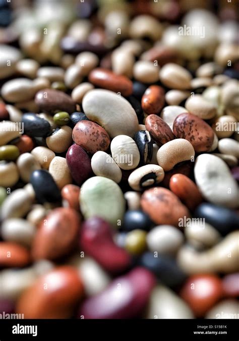 Different types of dried beans Stock Photo - Alamy