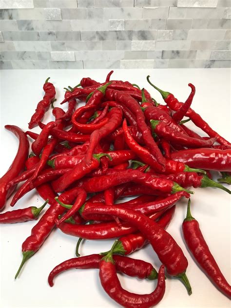 Cayenne Pepper Seeds Hot Pepper Seeds Vegetable Seeds Non Gmo Usa Grown Etsy